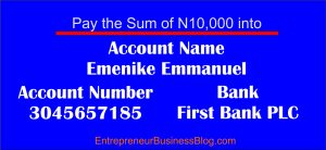 Make 6 digit figures income writing online in Nigeria