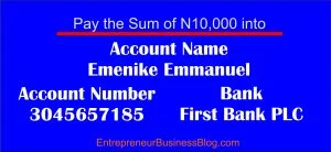Make 6 digit figures income writing online in Nigeria