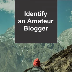 Identifying unprofessional bloggers in a crowded market has never been this easy