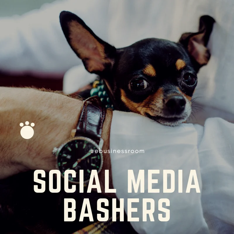 Handle and avoid social media bashers and trolls