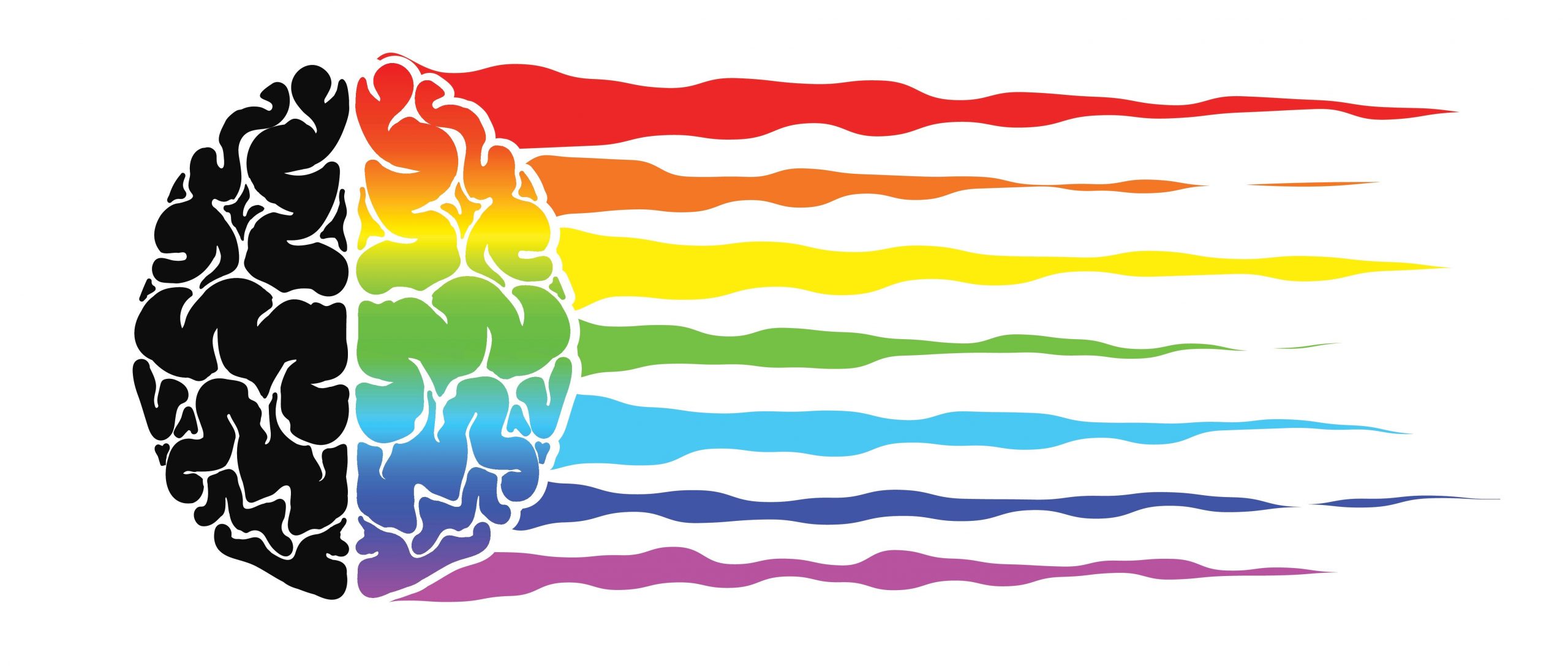 Color secrets behind e-commerce website designs