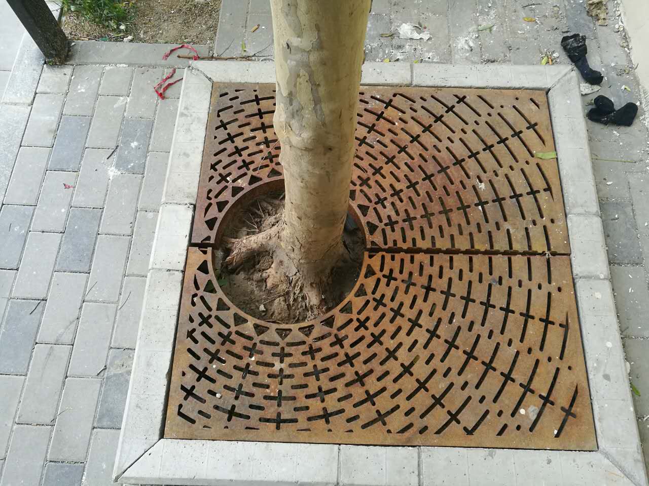How tree grates is becoming a better technology in urban cities