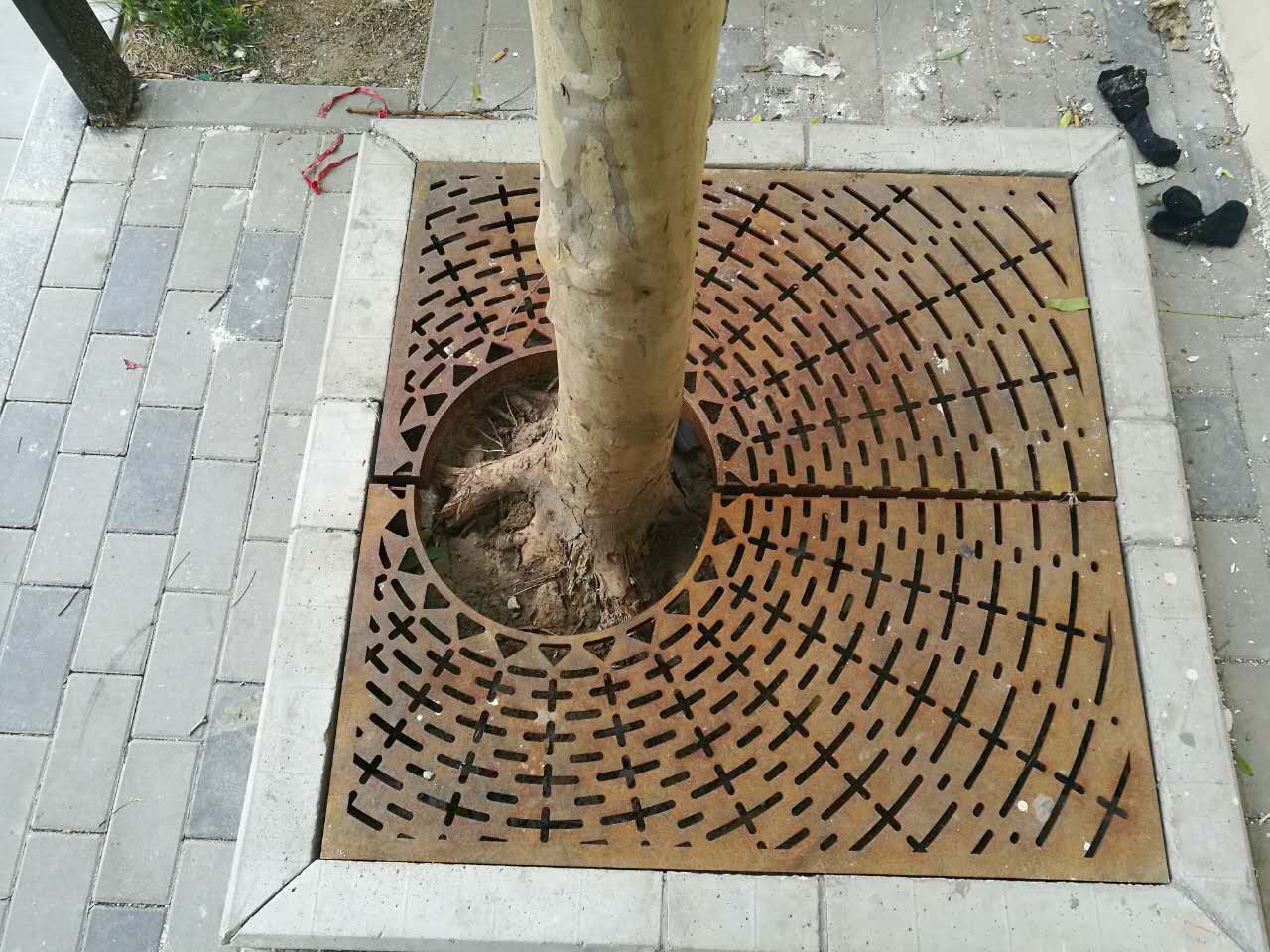 Tree Grates in Sidewalks, a Better Technology Start, Manage and Grow