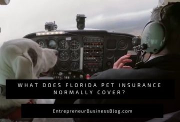 What Does Florida Pet Insurance Cover or Not Cover