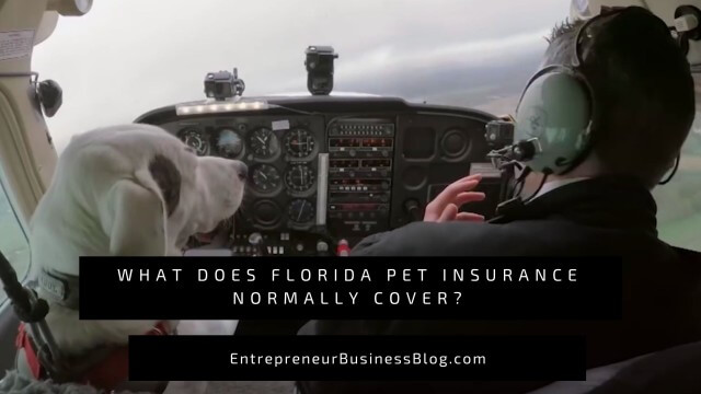 What Does Florida Pet Insurance Cover or Not Cover