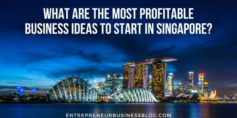 The Most Profitable Business Ideas to Start in Singapore